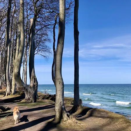 Appartamento Lindenpalais 24