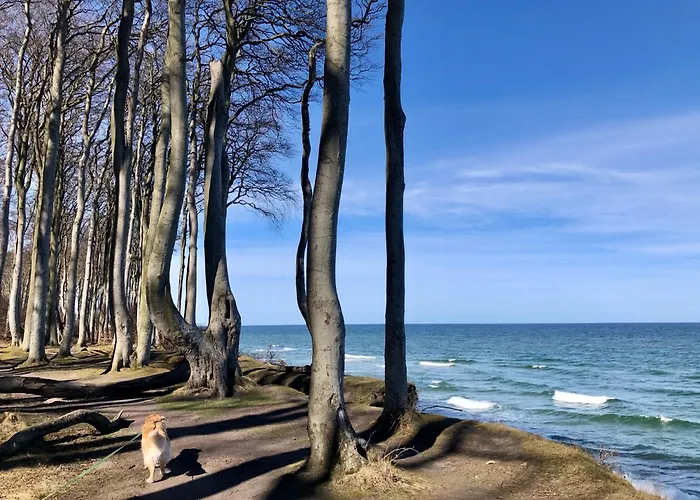 Apartamento Lindenpalais 24